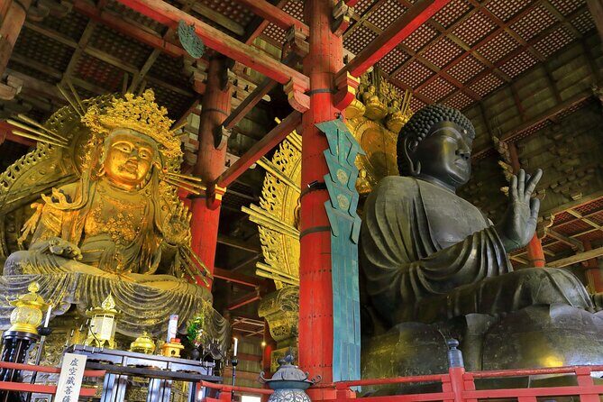 Super Express Nara & Kyoto Private 1-Day Tour from Tokyo - Price, group structure, and what you’re really paying for