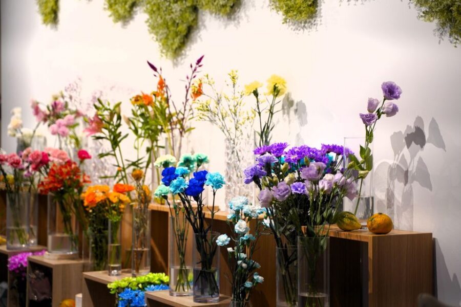 Sushi making experience in Shinjuku, Tokyo - Ingredients and Edible Flowers: Where the Photos Come From