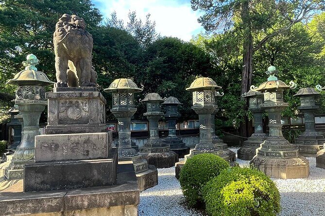 Tailored Tokyo private Tour with a Local Guide (10:00〜) - Lunch with your guide and the Kamakura half-day option