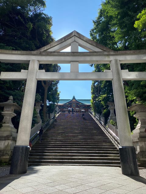Tameike: Exploring the Heart of Japanese Politics Tour - Meeting point, pace, and what to bring