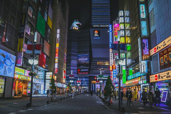The Dark Side of Tokyo - Night Walking Tour Shinjuku Kabukicho - Key things you’ll notice on this Shinjuku night walk