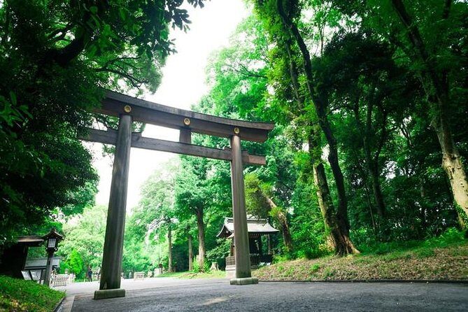 Tokyo 6 hour Tour : English Speaking Driver Only, No Guide - Should You Book This Tokyo 6-Hour Chauffeur Tour?