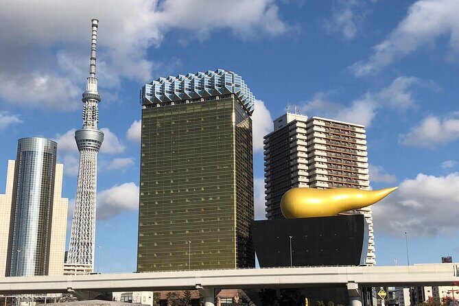 Tokyo 6 hours Customized Private Tour - Families and kids: a guide who can handle real pace
