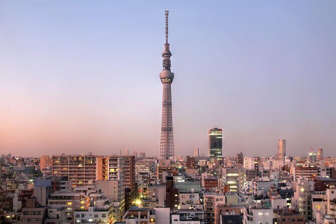 Tokyo 6hr Instagram Highlights Private Tour with Licensed Guide - Quick hits before you book