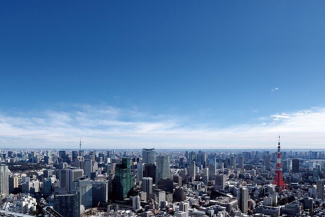 Tokyo 6hr Instagram Highlights Private Tour with Licensed Guide - Shibuya Crossing and Hachikō: the photo that sells Tokyo