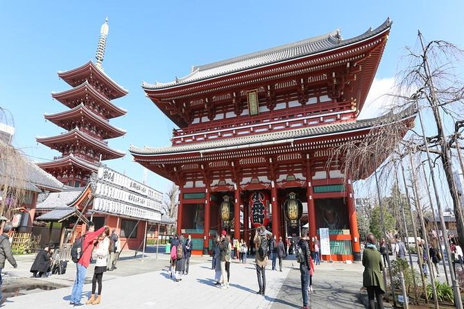 Tokyo 6hr Private Guided Tour & Japanese Sweets Making Experience - Meiji Jingu near Harajuku: culture at one tempo, fashion at another