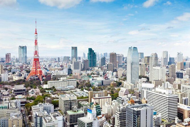 Tokyo 6hr Private Tour with Government-Licensed Guide - The walking + subway reality (and how to make it work)
