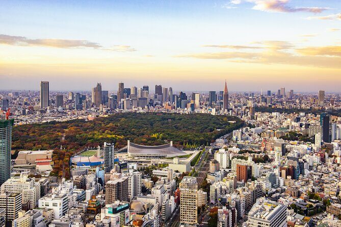 Tokyo 8hr Private Tour with Licensed Guide from Yokohama - Licensed Guide + Choose-Your-Sights Planning