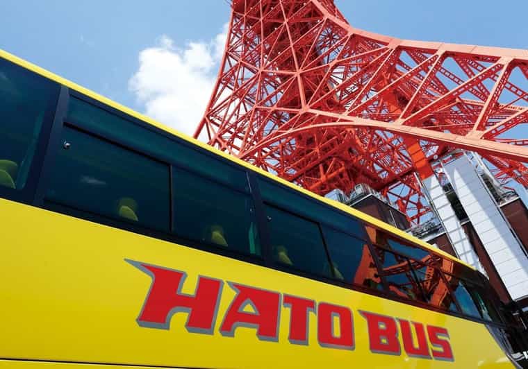 Tokyo: A Half-Day Trip Bus Tour in the Morning - Price and Logistics: What you’re really paying for