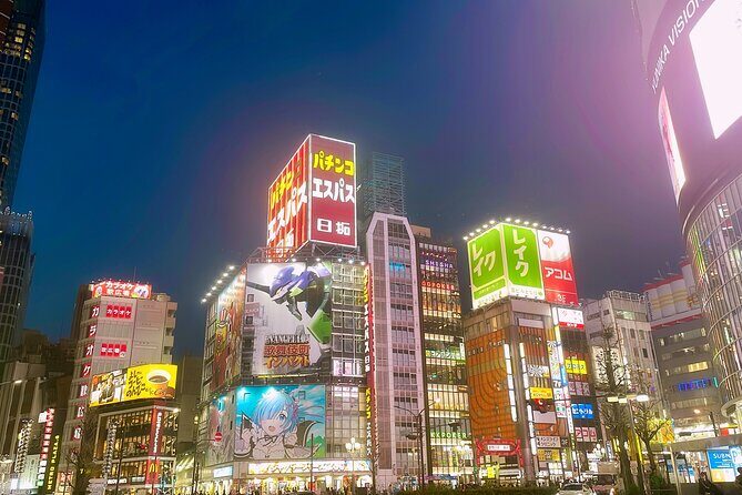 Tokyo After Dark Shinjuku Tour of Tradition and Pop Culture - Price and value: what $31.87 buys you in the real world