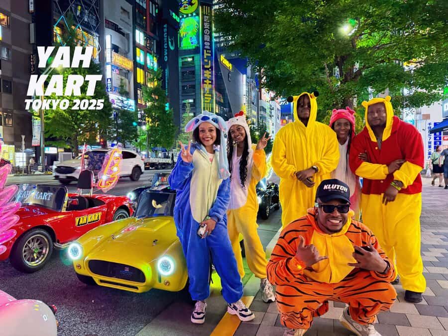 Tokyo: Akihabara/Asakusa Go-Karting Tour (including guide) - Key Points at a Glance
