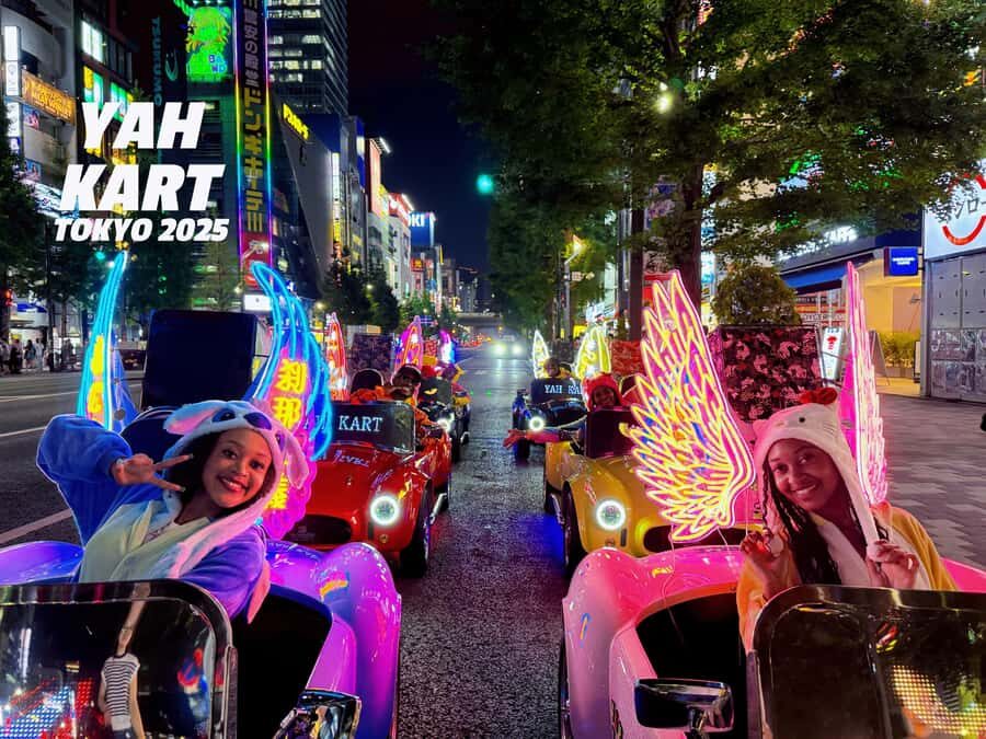 Tokyo: Akihabara/Asakusa Go-Karting Tour (including guide) - The Practical Part: IDP Rules and How You Stay Safe