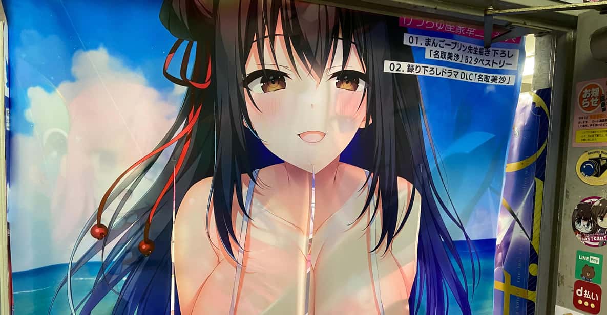 Tokyo: Akihabara Private Hentai Tour - Building Your Own 3-Hour Akihabara Route