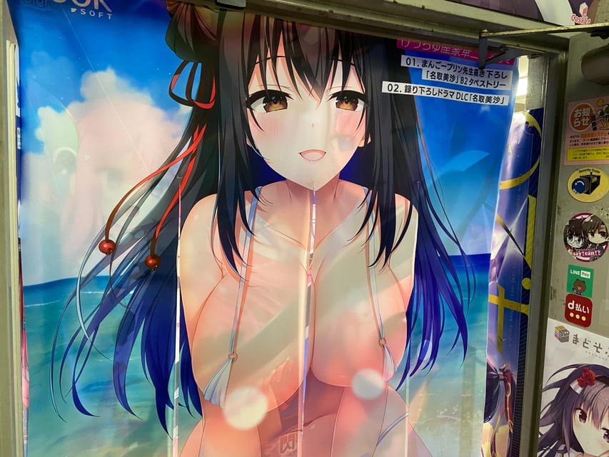 Tokyo: Akihabara Private Hentai Tour - Video Games, Manga, and Anime Stores: How the Shopping Stops Work