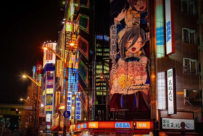 Tokyo: Akihabara, Shibuya, Karaoke & City Lights Night Tour - Akihabara Free Time: Electronics, Anime, and Smart Wandering