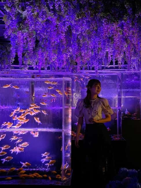 Tokyo: Art Aquarium Museum GINZA Entry Ticket - A One-Hour Art-Aquarium Break in Central Ginza