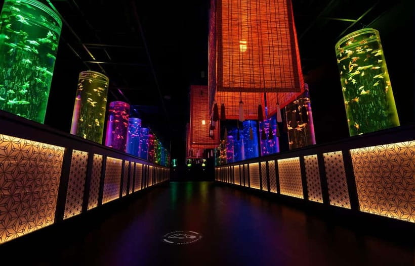 Tokyo: Art Aquarium Museum GINZA Entry Ticket - Photography in Art Aquarium Museum GINZA: How to Get Great Shots