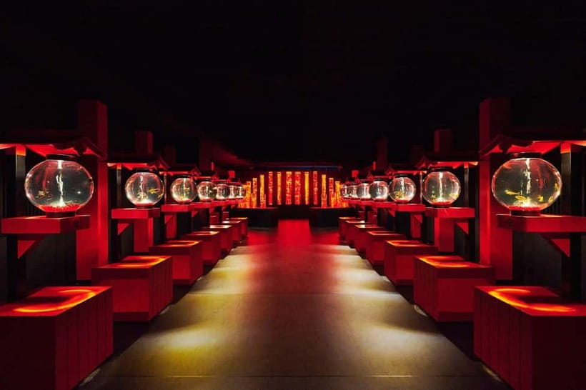 Tokyo: Art Aquarium Museum GINZA Entry Ticket - Value Check: What $17 Buys You in Tokyo