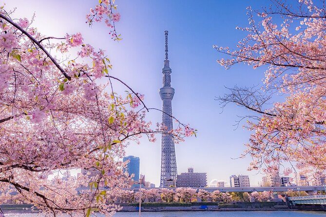 Tokyo Asakusa Half Day Walking Tour with Local Guide - Lunch and Monja-yaki pancake time: what you control (and what costs extra)