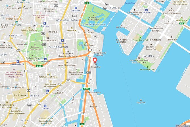 Tokyo Bay Cruise Adventure with options - What the 30–60 Minute Plan Feels Like in Real Life