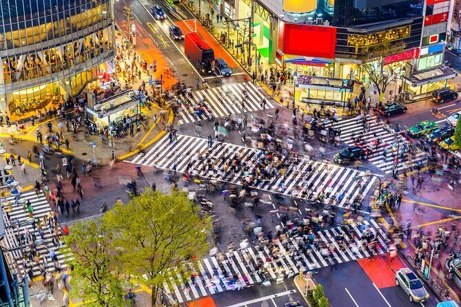 Tokyo Bike Tour: Shibuya & Hidden Tokyo - Key highlights you should know