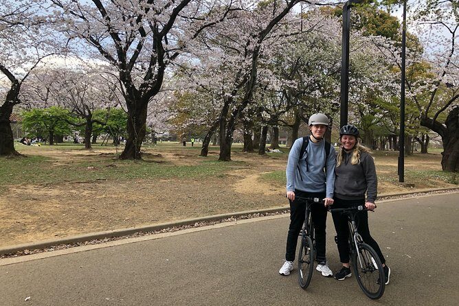Tokyo Bike Tour: Shibuya & Hidden Tokyo - The ride plan: from Yoyogi Park to Aoyama Cemetery