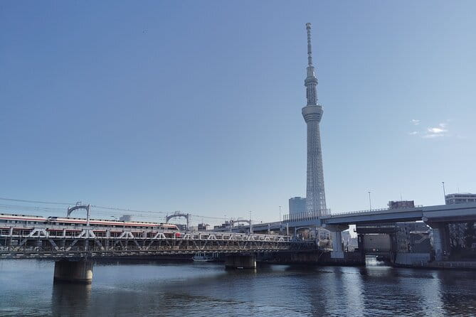 Tokyo Castle & Imperial PalaceーShogun Walking Tour - Kokyo Otemon Gate: where gates explain power