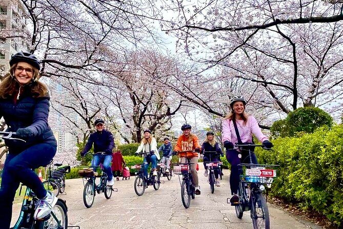 Tokyo Cherry Blossoms blooming spots E-bike Tour, 3hrs - Key Highlights You’ll Notice Right Away