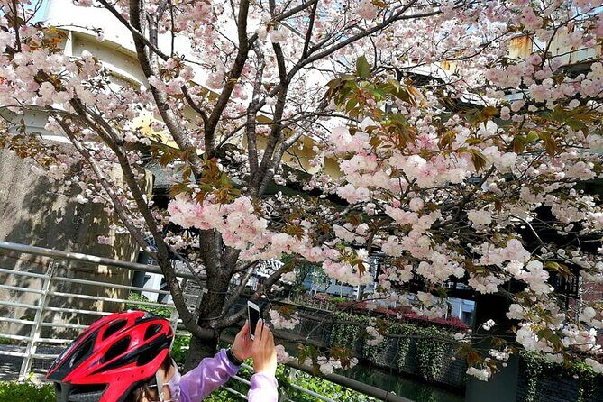 Tokyo Cherry Blossoms blooming spots E-bike Tour, 3hrs - Yasukuni Shrine: A Short Dismount That Changes the Mood