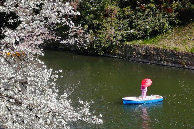 Tokyo Cherry Blossoms blooming spots E-bike Tour, 3hrs - Hibiya Park: A Pass-By Moment That Still Counts