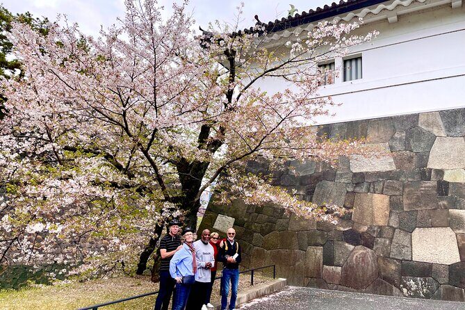 Tokyo Cherry Blossoms blooming spots E-bike Tour, 3hrs - Kensei Kinenkan: A Final Photo-and-Observe Break