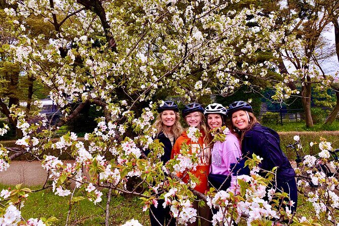 Tokyo Cherry Blossoms blooming spots E-bike Tour, 3hrs - The First Bloom Stop: Chidorigafuchi Photos With a Quick Look Around