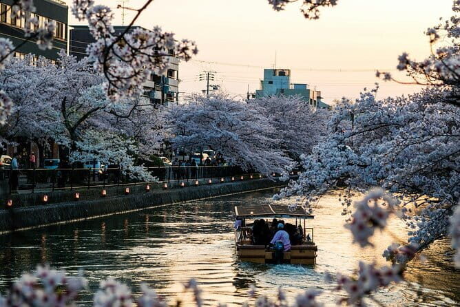 Tokyo City Adventures Private English Tour With Hotel Pickup - Key Things I’d Focus On Before You Go