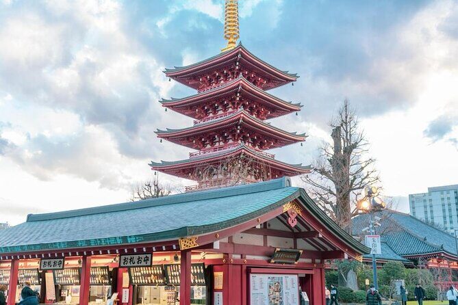 Tokyo City Attractive One Day Tour - Shinjuku Gyoen and Meiji Jingu: calm breaks that reset your day