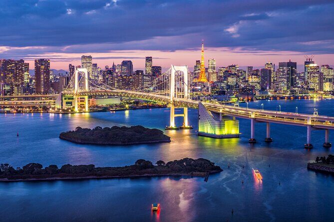 Tokyo City Night View Tour with Native Japanese Driver - Odaiba After Dark: Liberty Statue and Rainbow Bridge Photos