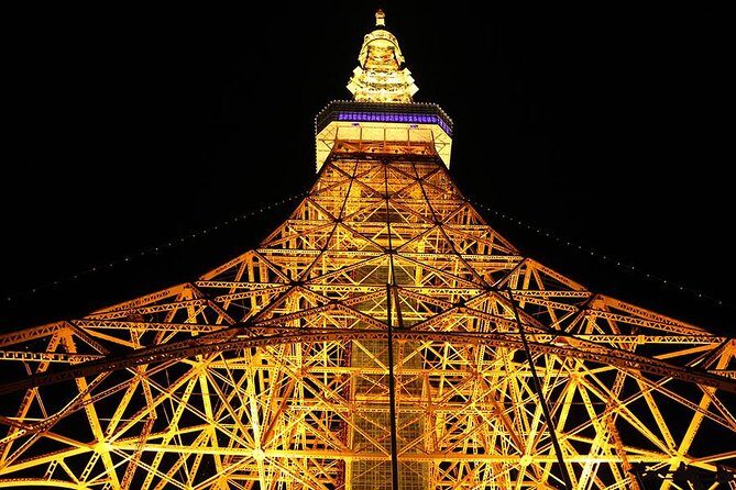 Tokyo City Night View Tour with Native Japanese Driver - The Private Driver Setup: What You Really Get