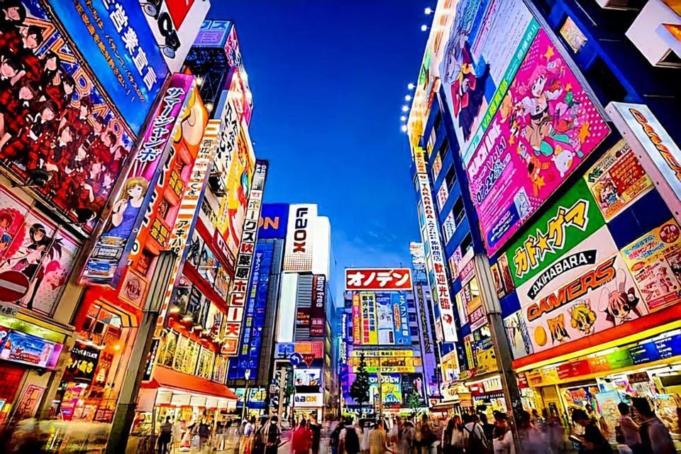 Tokyo: City Tour Tokyo With Driver - Key Things That Make This Tokyo Tour Work