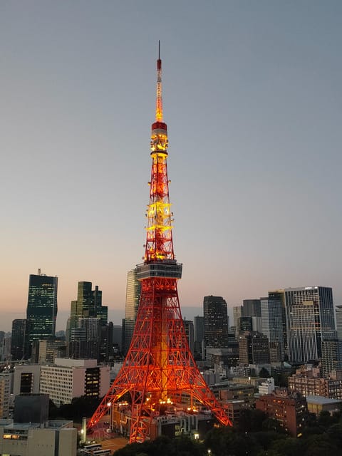 Tokyo: City Tour Tokyo With Driver - Imperial Palace Gardens and Meiji Shrine: A Breather From the Train Crowd