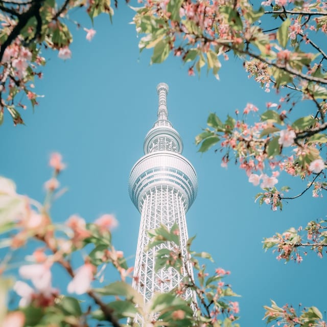 Tokyo: City Tour Tokyo With Driver - Odaiba and Tokyo Bay Views: Futuristic Tokyo in One Scenic Push