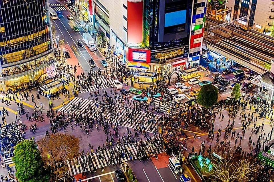 Tokyo: City Tour Tokyo With Driver - Price and Logistics: What $377 for Up to 5 Really Buys You