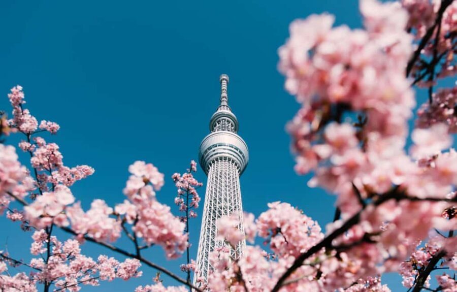 Tokyo: Customizable Day Trip Within Tokyo & English-Driver - Ueno and Akihabara: two very different breaks in the schedule