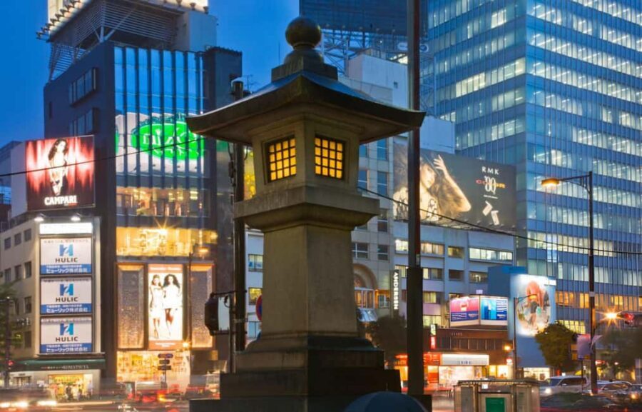 Tokyo: Customizable Day Trip Within Tokyo & English-Driver - Meiji Shrine: calm after the chaos