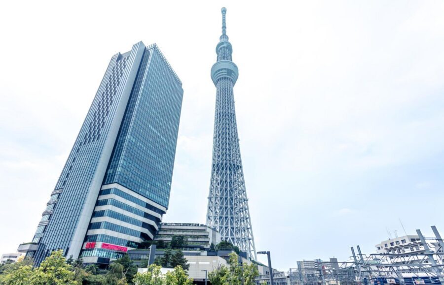 Tokyo: Customizable Day Trip Within Tokyo & English-Driver - Shibuya Crossing and Hachiko: the busiest intersection, explained