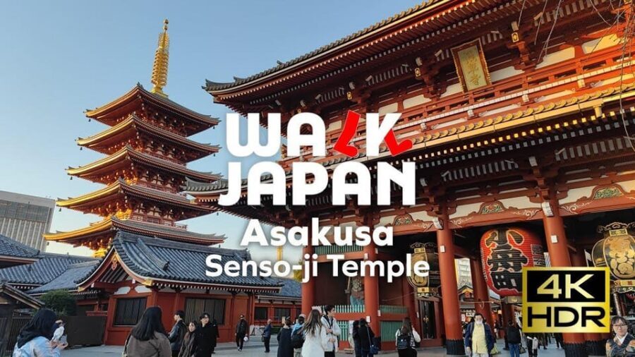 Tokyo: Customizable Day Trip Within Tokyo & English-Driver - Getting picked up (and how the 10-hour day stays on track)