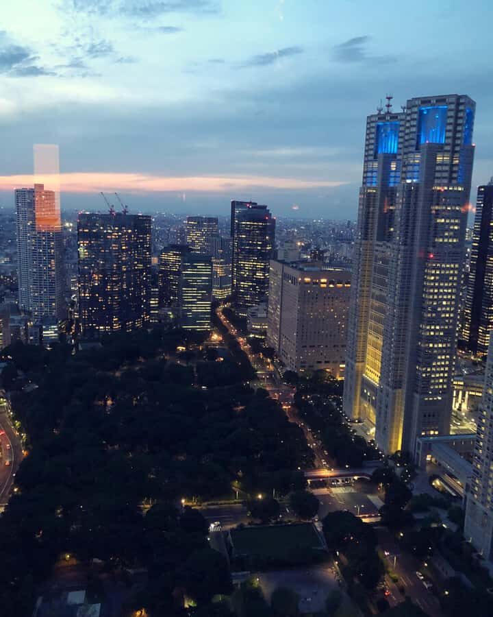 Tokyo: Customizable Day Trip Within Tokyo & Its Attractions - A private driver turns Tokyo from a maze into a plan
