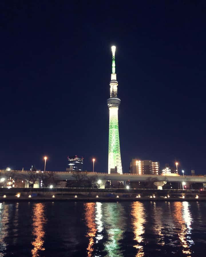 Tokyo: Customizable Day Trip Within Tokyo & Its Attractions - Tokyo Tower: iconic views, but manage the wait