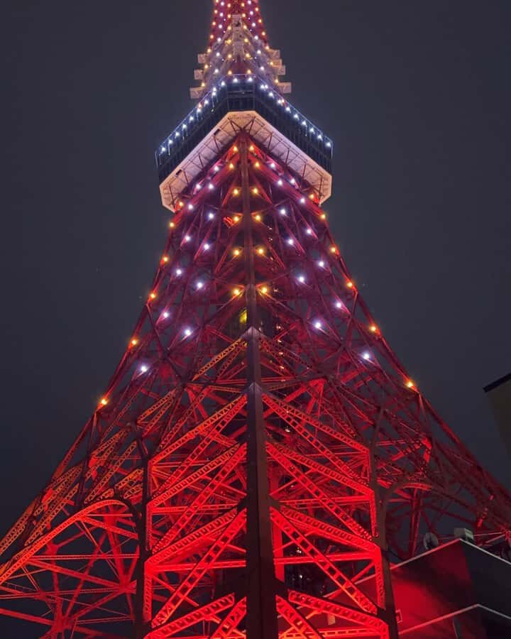 Tokyo: Customizable Day Trip Within Tokyo & Its Attractions - Food plans that actually work: use the recommendations