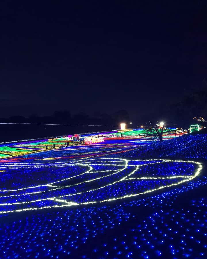 Tokyo: Customizable Day Trip Within Tokyo & Its Attractions - Price and value: what $404 per group really buys