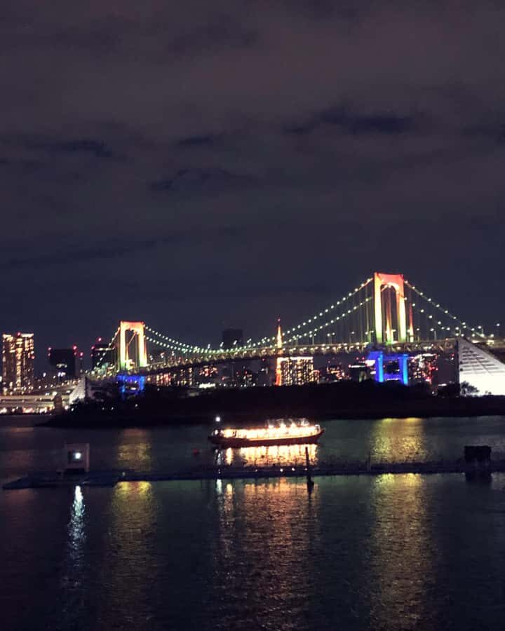 Tokyo: Customizable Day Trip Within Tokyo & Its Attractions - Who this tour suits best (and who might not need it)