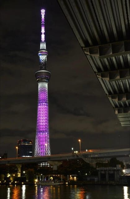 Tokyo Customizable Private Tour by Car & Van - A private car day in Tokyo: why it feels easier